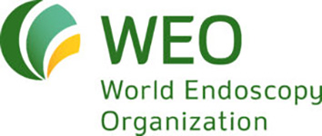 WEO_Logo